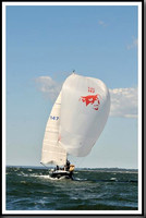 proof_2010_Vineyard_Race_1177