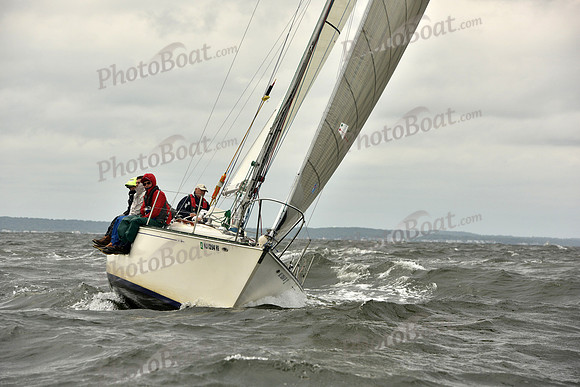 2018 Vineyard Race A_0780