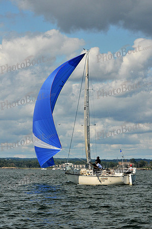 2010 IRC LIS 2048