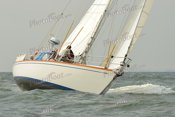 2015 Vineyard Race A 303