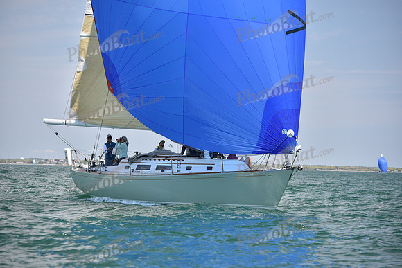 2019 Figawi_1341