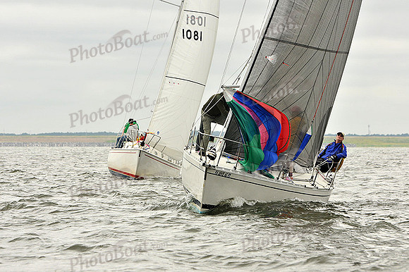 2014 Southern Bay Race Week A 1046
