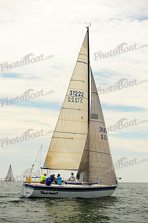 2014 Cape Charles Cup B 777