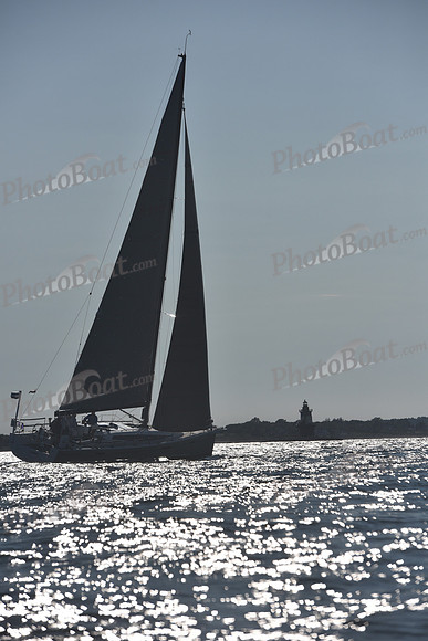 2021 Vineyard Race B 2344