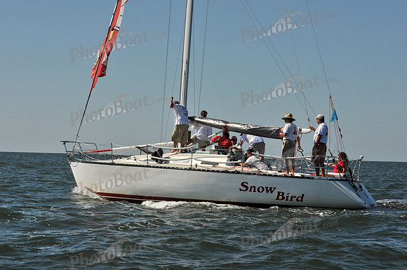 2010 Leukemia Cup 198
