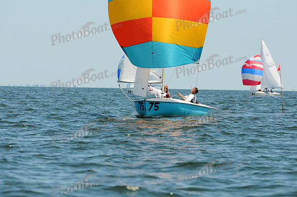 2011 Flying Scot NAC A 313
