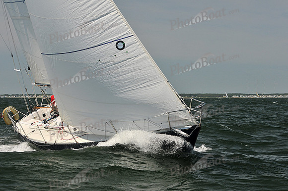 2014 Southern Bay Race Week C 782