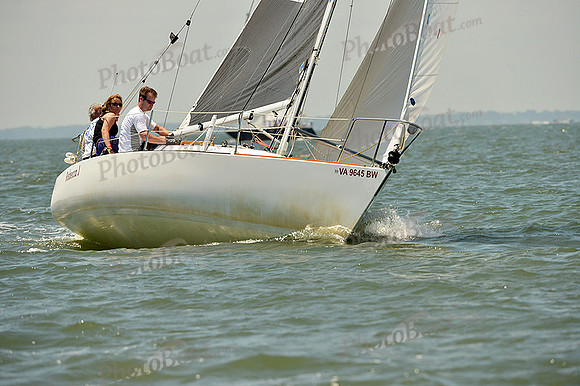 2015 Southern Bay Race Week A 353