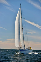 2017 Vineyard Race A_0611