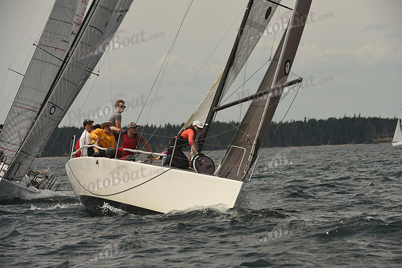 2016 Chester Race Week C_1173