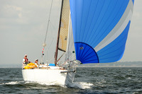 2013 Vineyard Race A 710