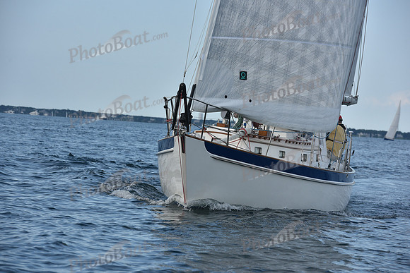 2019 Around Marthas Vineyard A_0388