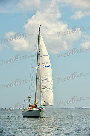 2015 Southern Bay Race Week F 825
