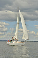 2016 Vineyard Race A_0981