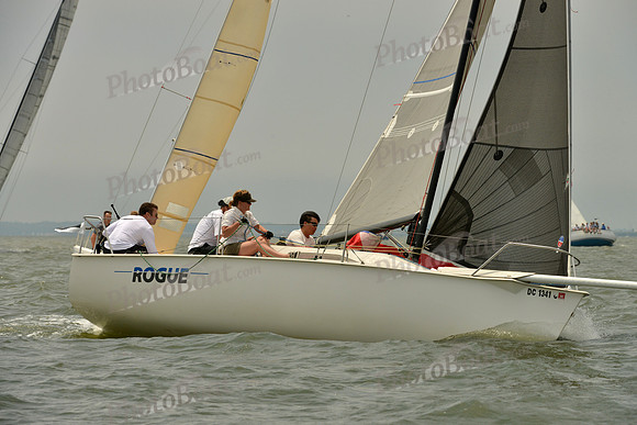 2016 Southern Bay Race Week A_0972