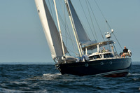 2015 Vineyard Race C 197