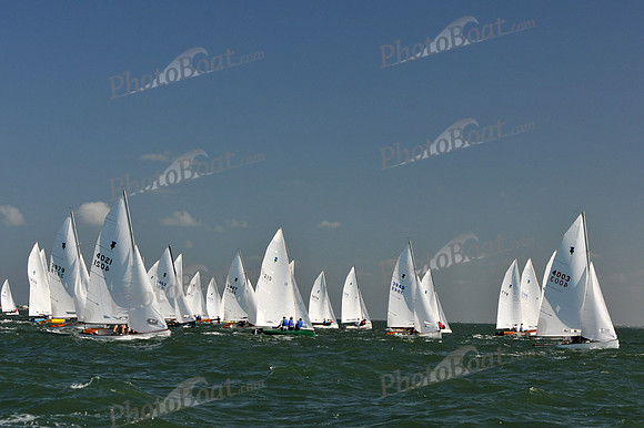 2012 Thistle Midwinters C 014