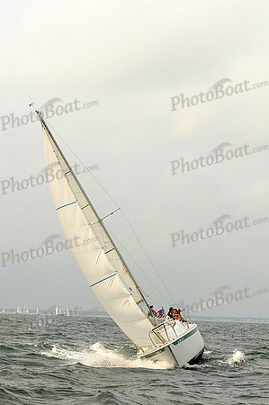 2012 Cape Charles Cup A 307