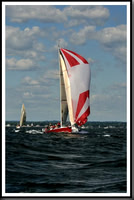 proof_2010_Vineyard_Race_0585