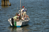 2016 NY Architects Regatta_0006