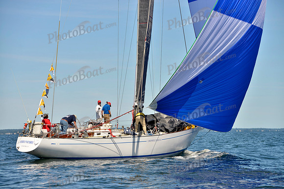 2017 Vineyard Race A_1200