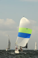 2013 Vineyard Race A 443