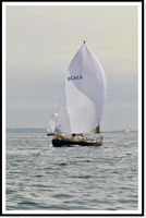 proof_2010 Block Island Race 442