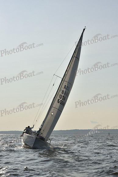 2019 ALIR_1851