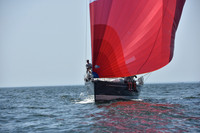 2019 Vineyard Race A_2677