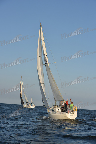 2019 ALIR_2523