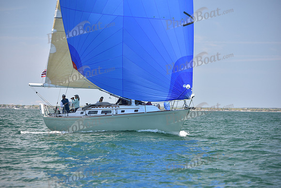 2019 Figawi_1340