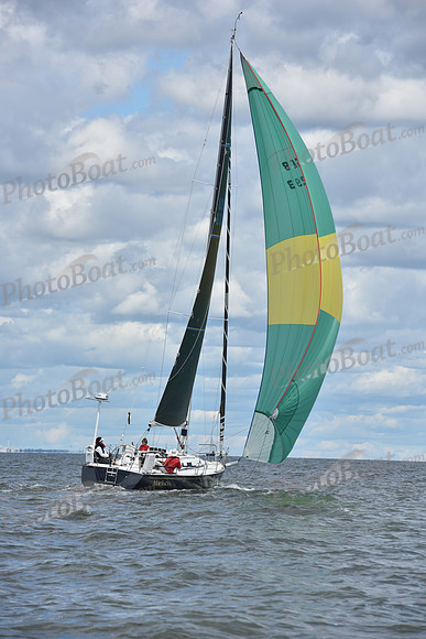 2021 Vineyard Race A 1804