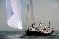 2013 Vineyard Race A 1893