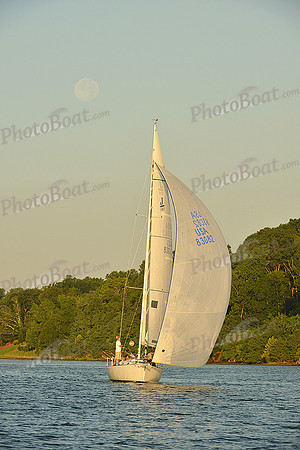 2015 Gov Cup C 499