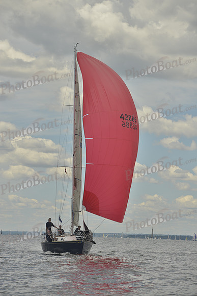 2016 Vineyard Race A_0773