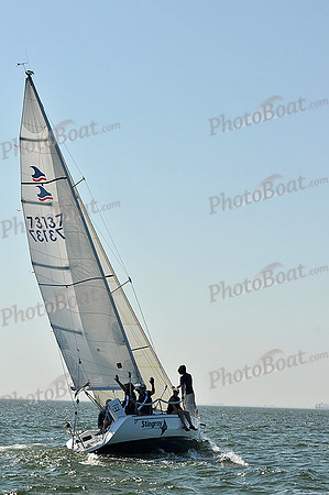 2013 Southern Bay Race Week C 338