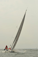 2015 Vineyard Race A 1511