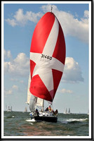 proof_2010_Vineyard_Race_1114