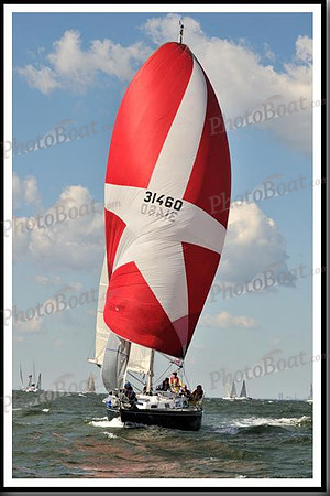 proof_2010_Vineyard_Race_1114