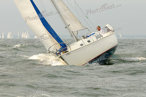 2012 Cape Charles Cup A 332