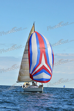 2010 IRC LIS 1614