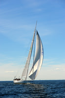 2014 Vineyard Race A 1973