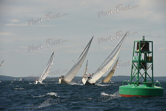 2016 Chester Race Week A_1378
