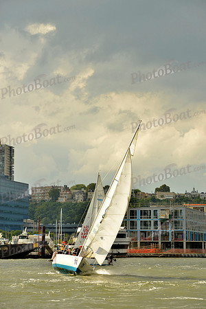 2017 NY Architects Regatta A_0428