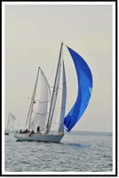 proof_2010 Block Island Race 469