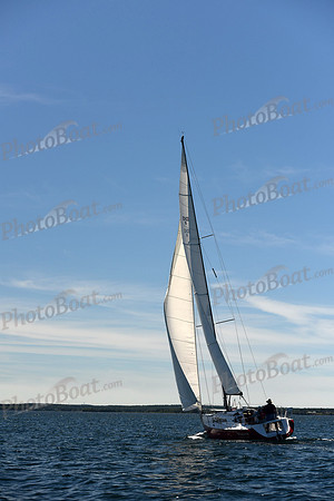 2016 Chester Race Week A1_0295