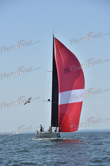 2019 Vineyard Race A_2670