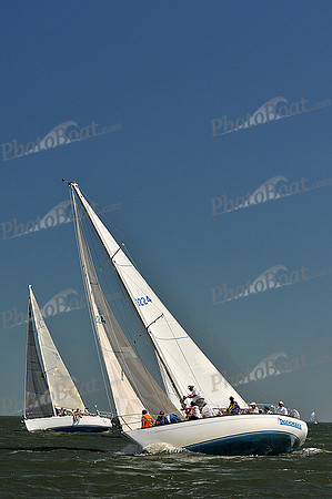 2013 Southern Bay Race Week D 540