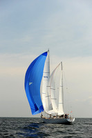 2013 Vineyard Race A 1008