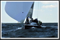 proof_2010_Vineyard_Race_0753